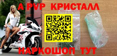 молекула духа Камышлов