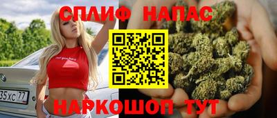 молекула духа Камышлов