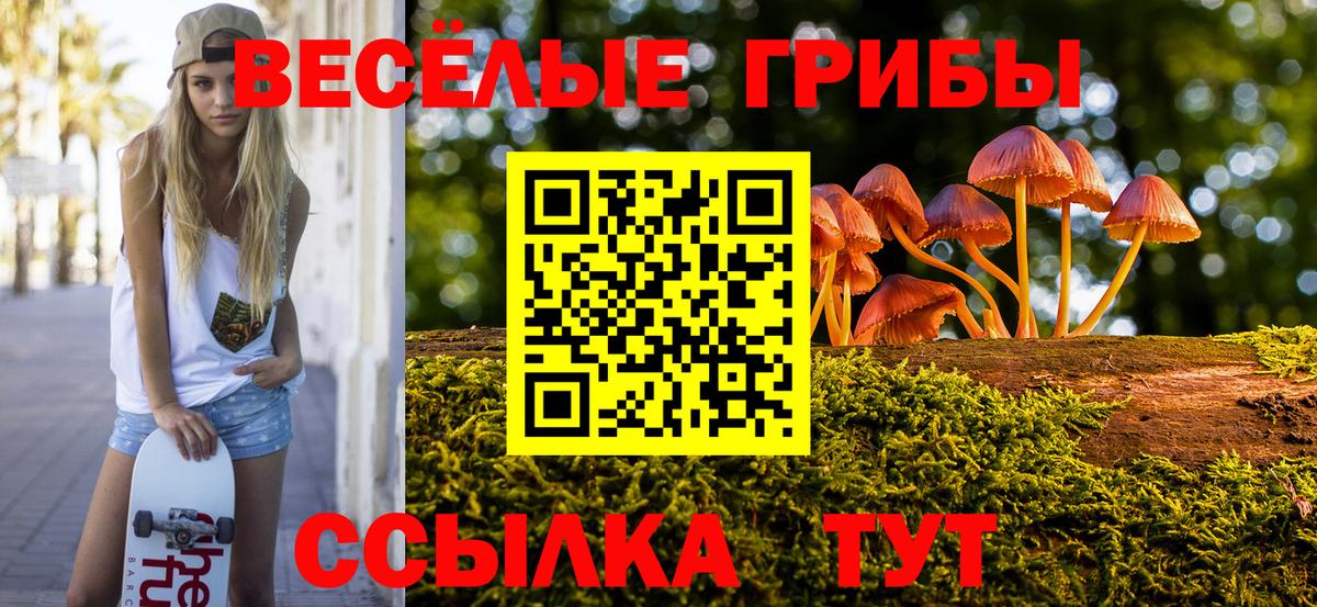 Галлюциногенные грибы MAGIC MUSHROOMS  Вход с VPN  Крымск 