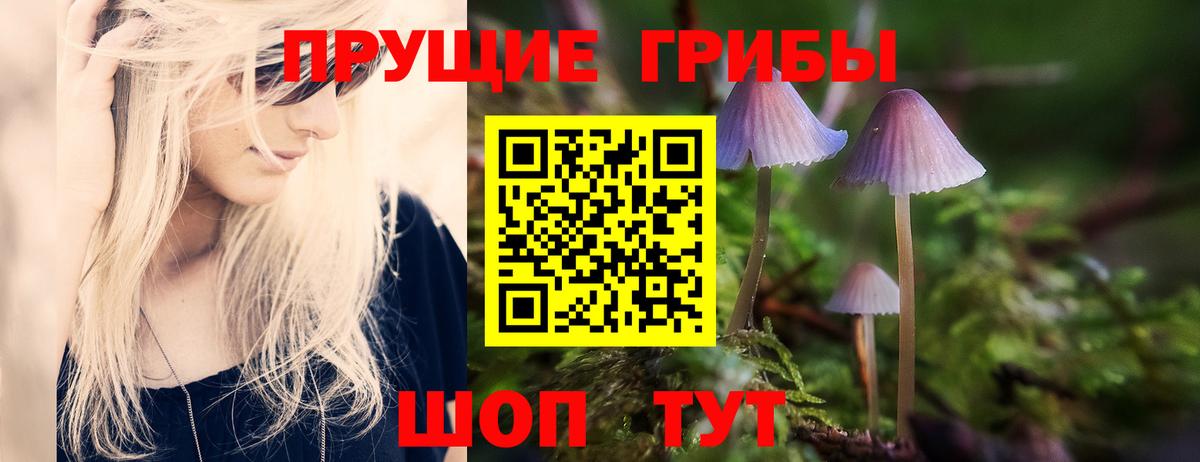 Псилоцибиновые грибы Psilocybine cubensis Крымск